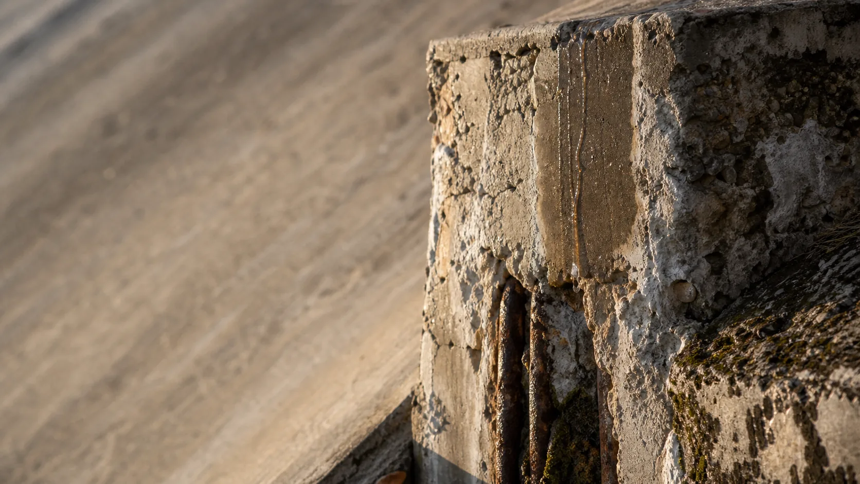 Weathered concrete and rebar texture on the Williamson Dam spillway