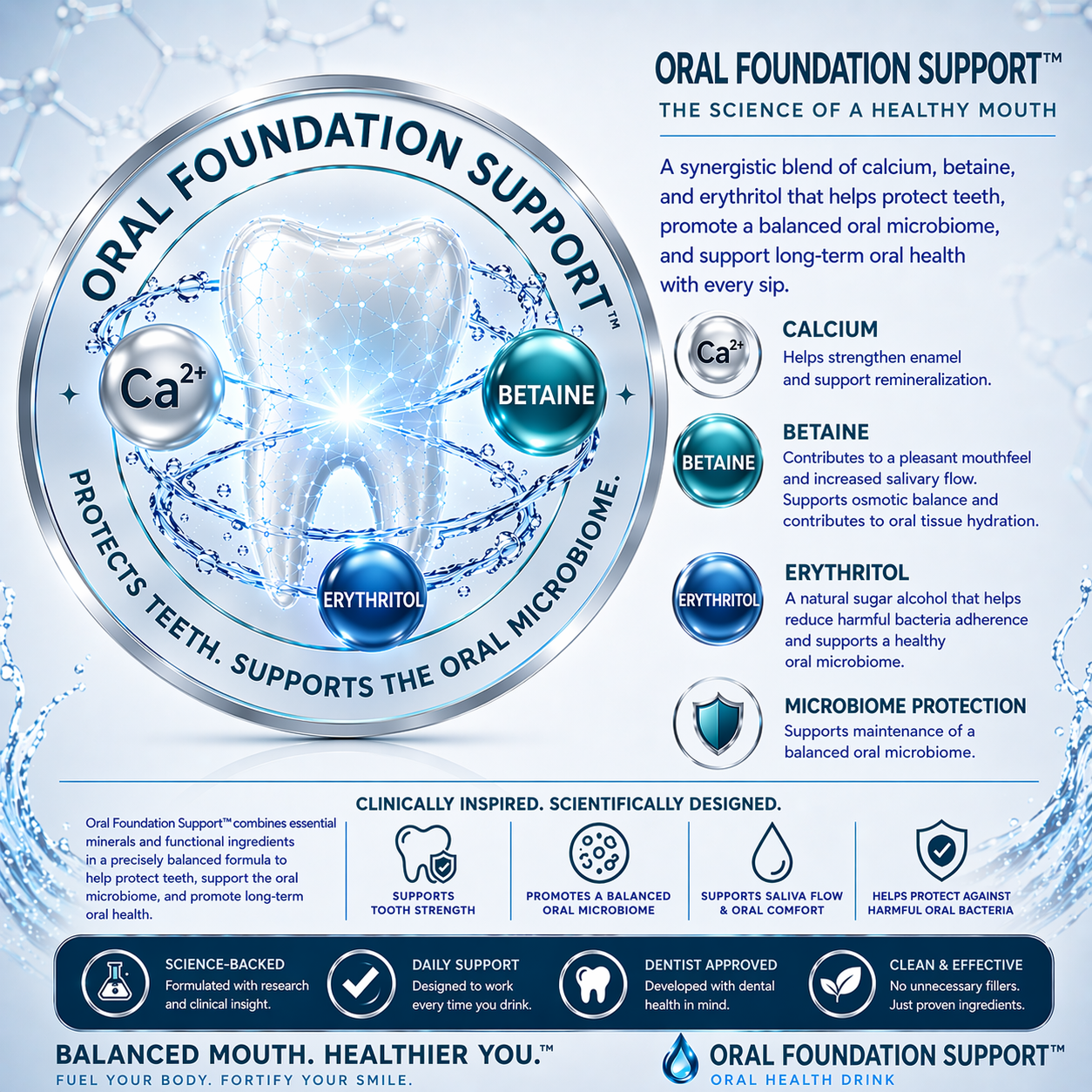 Educational diagram of Oral Foundation Support